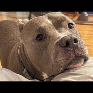 Meet your Posher, Rafael